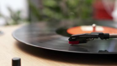 Pikapta dönen plak plağı