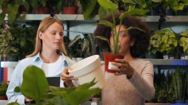 2つの深刻な女性の花は 屋内の別の鍋に花を移植する方法を見る — ストック動画