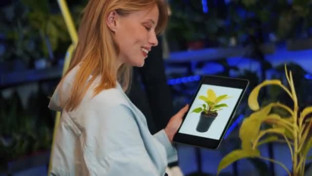 Florista Feminino Positivo Olhando Flores Tablet Dentro Casa — Vídeo de Stock
