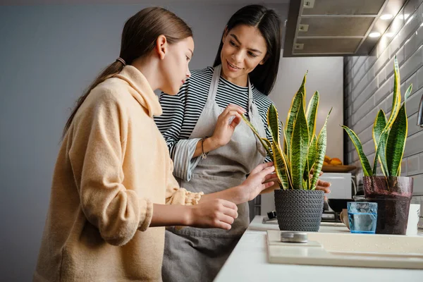 Gelukkig Mooi Moeder Dochter Glimlachen Water Geven Hun Planten Gezellige — Stockfoto