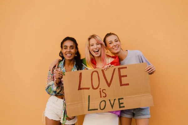 Chicas Lesbianas Jóvenes Sonriendo Sosteniendo Pancarta Mientras Están Pie Sobre —  Fotos de Stock