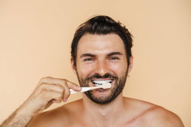 Dişlerini fırçalarken gülümseyen yarı çıplak genç bir adam bej arka planda izole edilmiş.