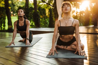 Yoga yaparken dışarıda egzersiz yapan çok ırklı iki kadın.