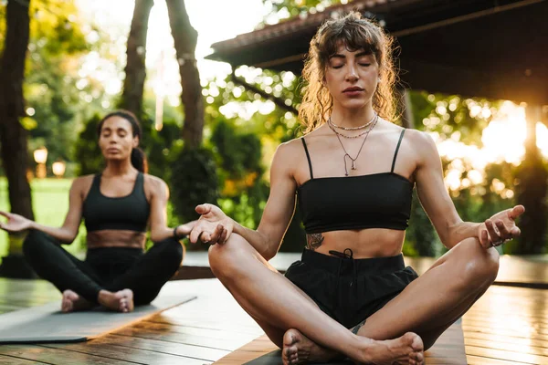 Multiraciale Twee Vrouwen Mediteren Tijdens Yoga Praktijk Buiten — Stockfoto