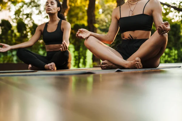 Çok ırklı iki kadın dışarıda yoga yaparken meditasyon yapıyor.