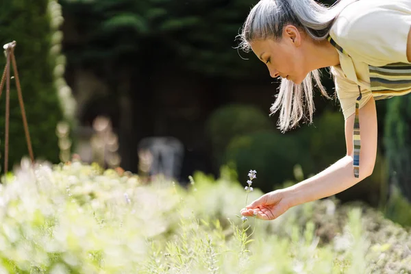 成熟したアジアの女性とともに白髪仕事で彼女の庭で上の夏の日 — ストック写真