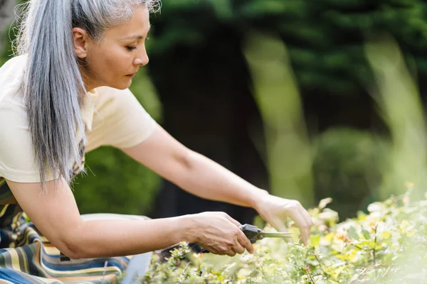 Mature Asian Woman Grey Hair Working Her Garden Summer Day — Foto Stock