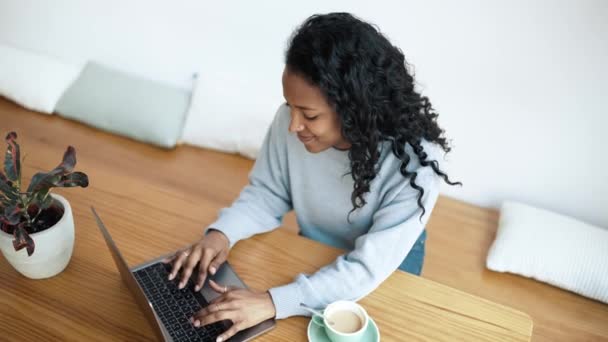 Brunette African Woman Wearing Blue Sweater Typing Laptop Cafe — Stockvideo