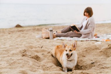 Yaşlı kadın, köpeğiyle kumsalda dinlenirken kitap okuyor.