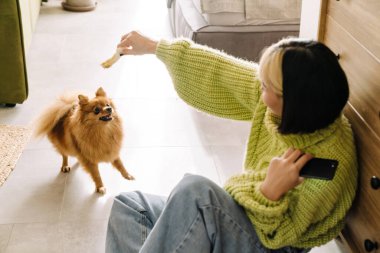 Asyalı kız evde yerde otururken kızıl köpeğiyle oynuyor.