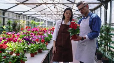 İki yakışıklı çiçekçi adam ve kadın serada çiçeklerden bahsediyorlar.