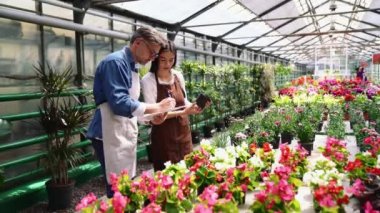 İki pozitif çiçekçi kadın ve erkek serada kağıt üzerinde konuşup çiçekleri sayıyorlar.