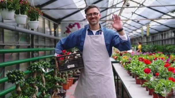幸せな灰色の髪の花屋の男が手に花の箱を持ってカメラに手を振って温室で — ストック動画