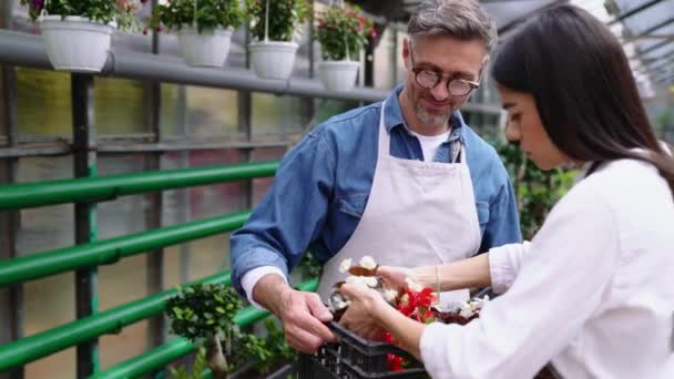 Dos Bonitos Floristas Hombre Mujer Mirando Flores Caja Mientras Están — Vídeos de Stock