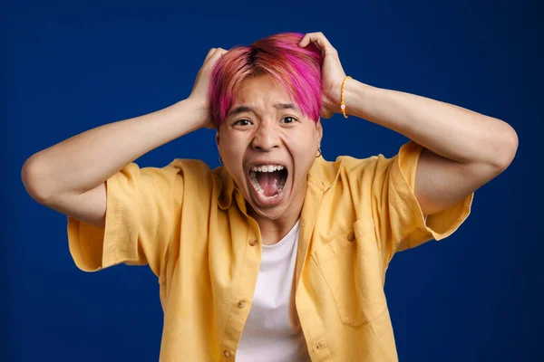 Asijské Chlapec Růžovými Vlasy Křičí Zatímco Drží Hlavu Izolovanou Přes — Stock fotografie