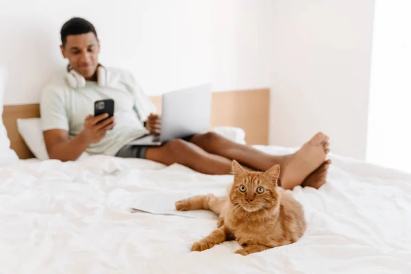 Black man using cellphone and laptop while sitting with his cat on bad in hotel