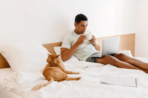 Black man drinking coffee and using laptop while sitting with his cat on bad in hotel