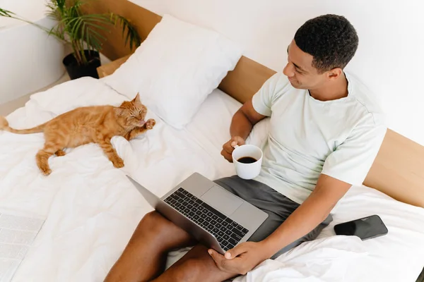 Black man drinking coffee and using laptop while sitting with his cat on bad in hotel