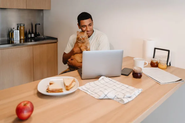 Black man holding his cat while working with laptop and having breakfast in hotel