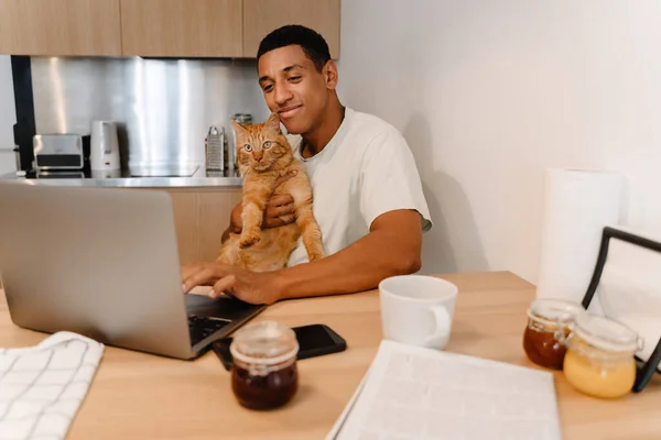 Black man holding his cat while working with laptop and having breakfast in hotel