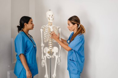 Ofiste iskeleti incelerken konuşan çok ırklı kadın doktorlar.