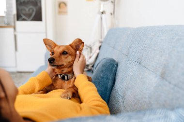 Young hispanic woman petting her dog while resting on couch at home