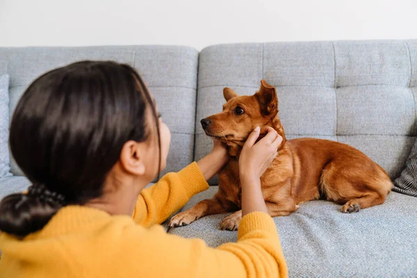 Young Hispanic Woman Petting Her Dog While Resting Couch Home — Φωτογραφία Αρχείου