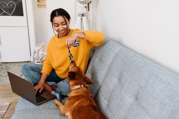Young Hispanic Woman Using Laptop While Playing Dog Couch Home — Stockfoto
