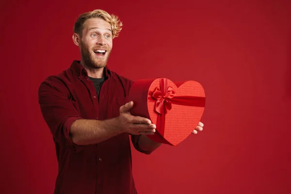 Bearded blonde man smiling while showing heart gift box isolated over red background