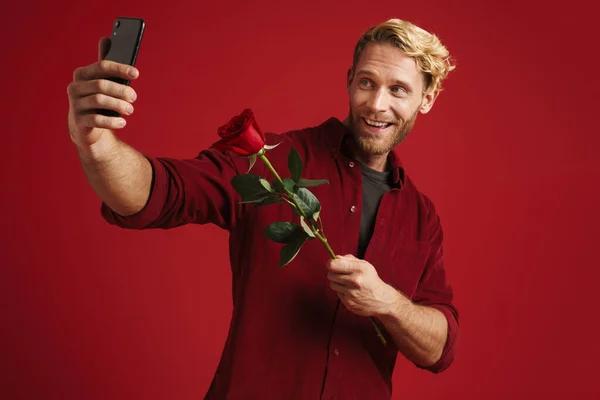 White bearded man holding rose while taking selfie on cellphone isolated over red wall