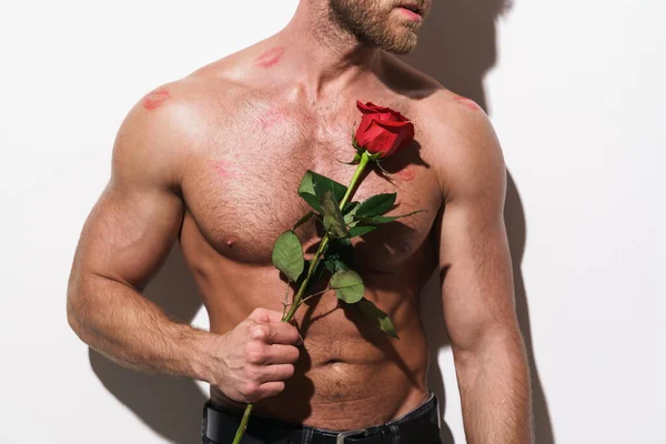Shirtless blonde man with lipstick smudge while holding red rose isolated over white background