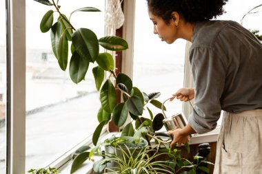 Young black woman wearing apron watering plants by window in home
