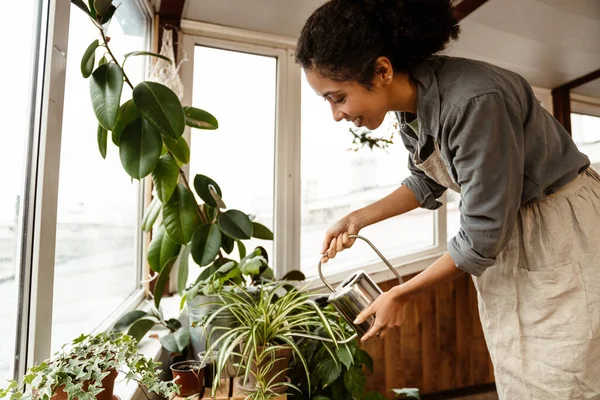 Young Black Woman Wearing Apron Watering Plants Window Home — ストック写真