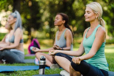 Çok ırklı kadınlar yaz parkında yoga yaparken meditasyon yapıyorlar.