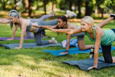 Yaz parkında yoga yaparken egzersiz yapan çok ırklı kadınlar.