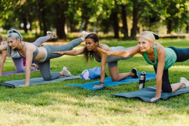Yeşil Park 'ta yoga yaparken egzersiz yapan çok ırklı kadınlar.