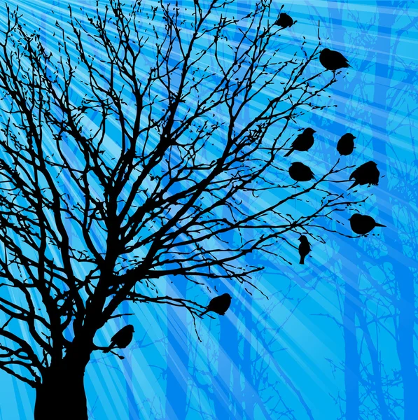 Baum und Vögel — Stockvektor