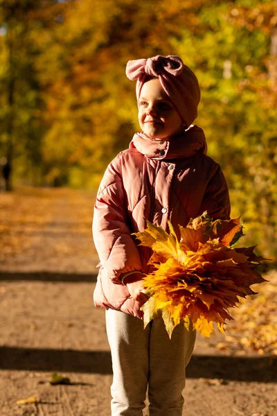 Portret Van Meisje Roze Jasje Met Gouden Herfstbladeren — Stockfoto