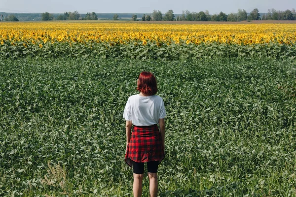 Teen Short Hair Girl Standing Next Sunflowers Field View Back — Stock Fotó