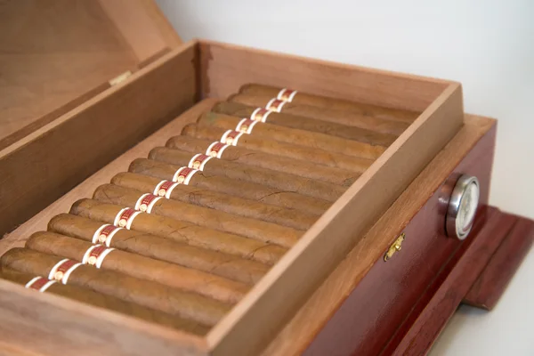 Cubanske cigar og luftfugter - Stock-foto