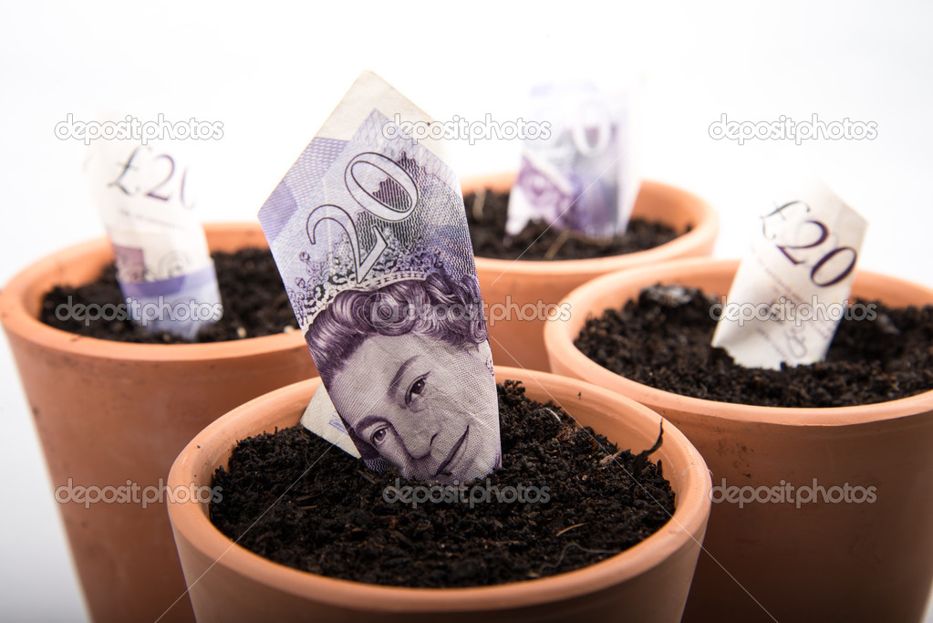 Growing money in pot