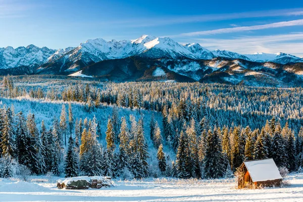 Winter Wonderland High Tatra Mountains Zakopane Poland Sunrise — Fotografia de Stock