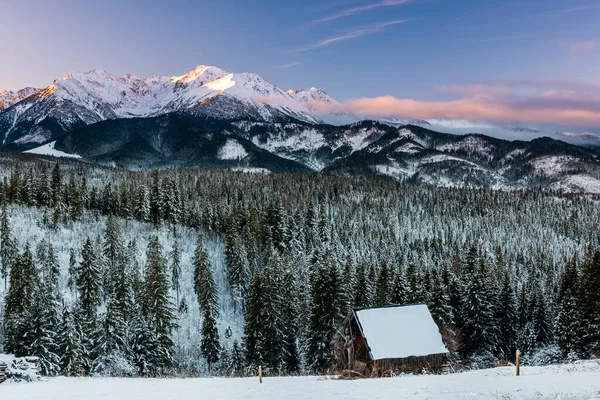Winter Landscape Tatra Mountains Poland Wooden Shepherd Hut Snowy Forest — Zdjęcie stockowe