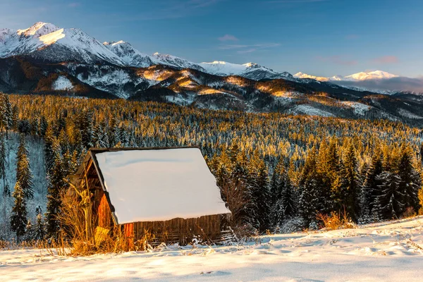 Winter Landscape Tatra Mountains Poland Wooden Shepherd Hut Snowy Forest — Fotografia de Stock