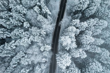 Road in Forest after Snowfall. Drone View.