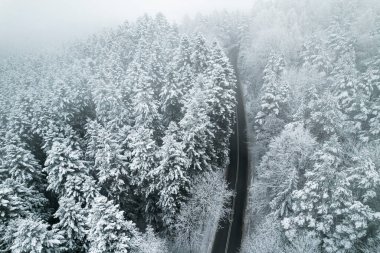 Road in Forest after Snowfall. Drone View.