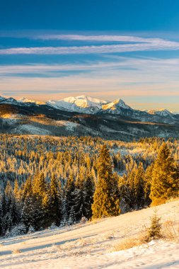 Frosty and Cold Morning at Tatra Mountains, Poland.