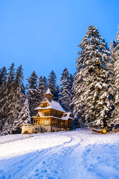 Jaszczurowka Zakopane Wooden Chapel Snowy Winter Forest Poland — Fotografia de Stock