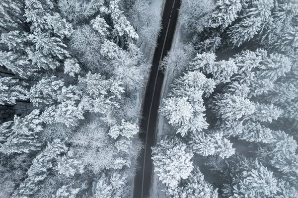 Road Forest Snowfall Drone View — Foto Stock