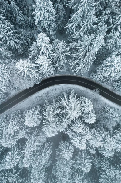 Curvy Winding Winter Road Forest — Stok fotoğraf